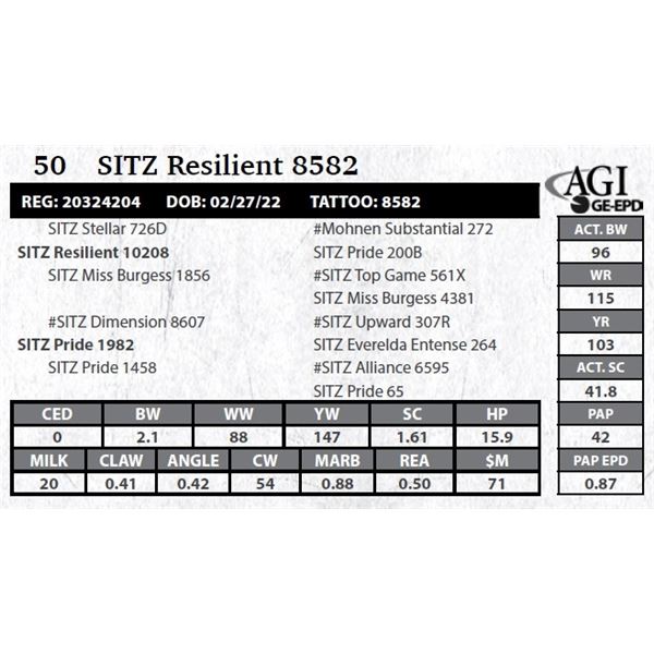 SITZ Resilient 8582