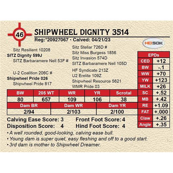 SHIPWHEEL DIGNITY 3514