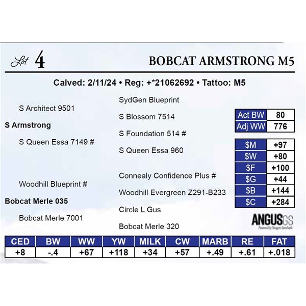 Bobcat Armstrong M5