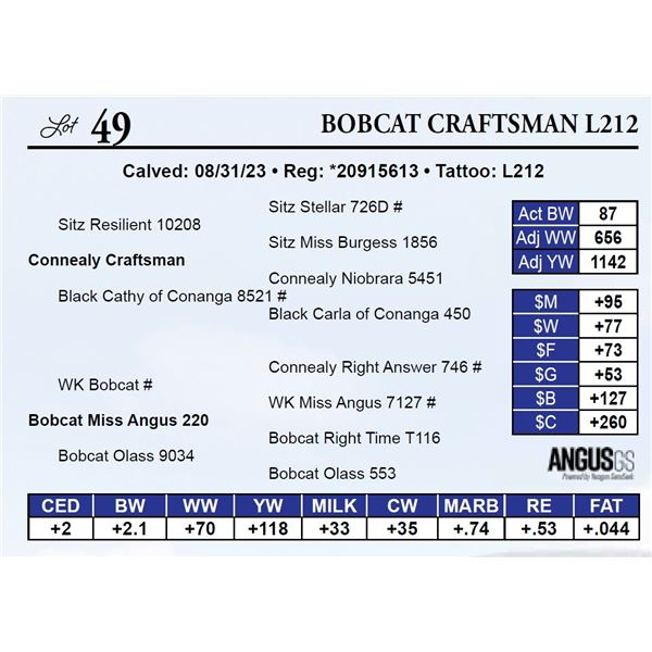 Bobcat Craftsman L212