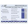 Image 1 : Bobcat Blue Sky L151