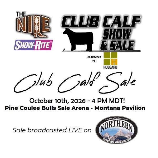Painted Cattle Co - Steer- Tag ID: 143