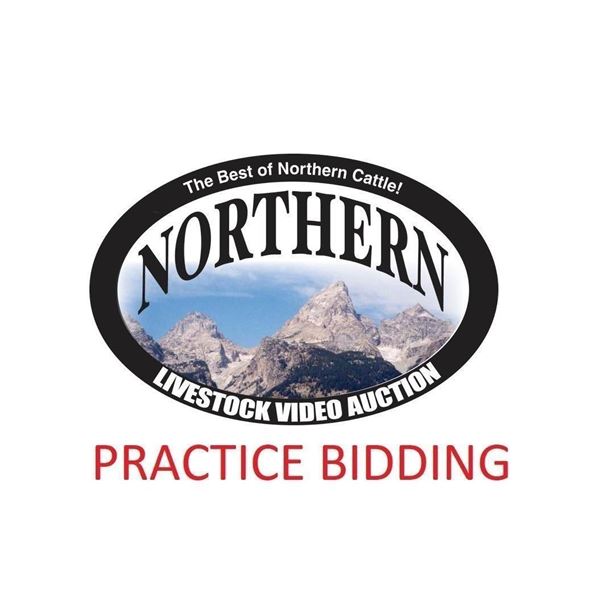 PRACTICE BIDDING