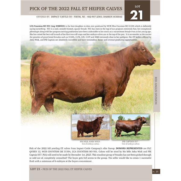 LOT 21 PICK OF THE 2022 FALL ET HEIFER CALVES Northern Livestock