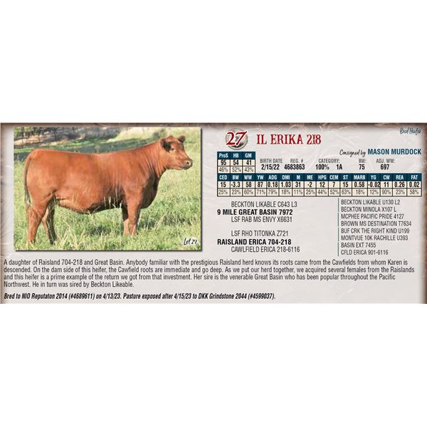 MURDOCK CATTLE COMPANY IL ERIKA 218