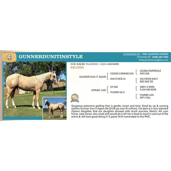 Gunnerdunitinstyle