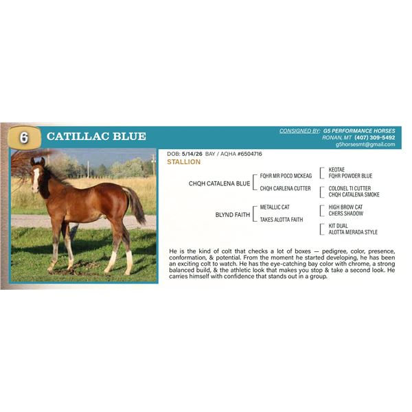 Catillac Blue