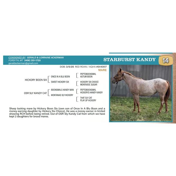 Starburst Kandy