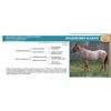 Image 1 : Starburst Kandy