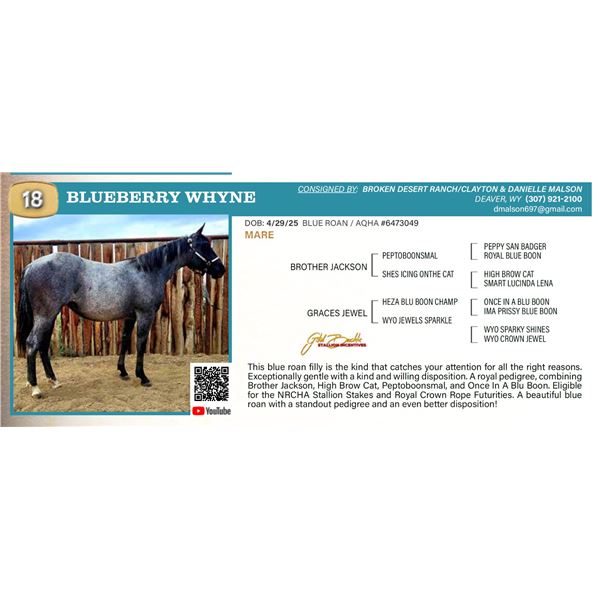 Blueberry Whyne