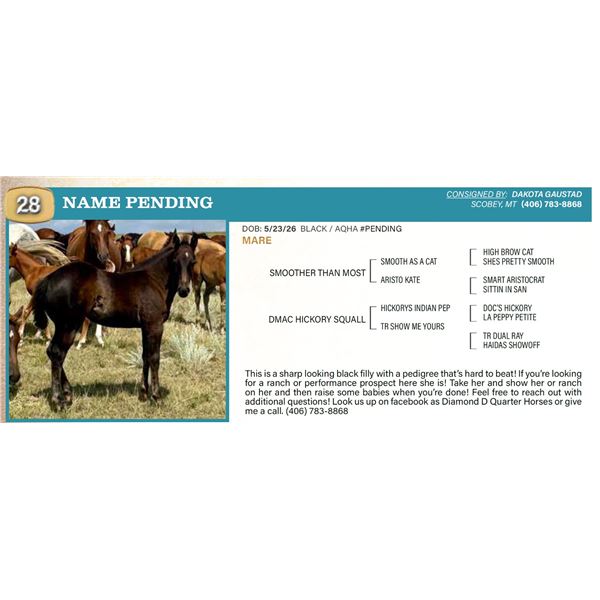 Name Pending- Black Mare
