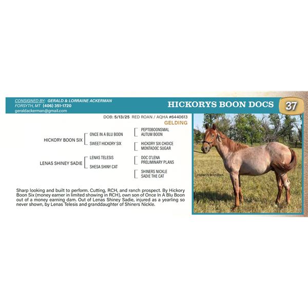Hickorys Boon Docs