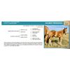 Image 1 : Name Pending- Palamino Colt