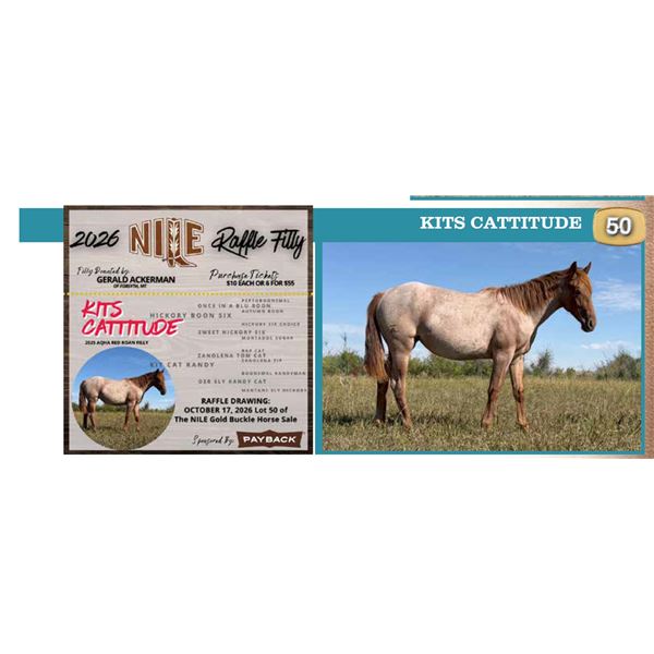KITS CATTITUDE- 2026 Raffle Filly