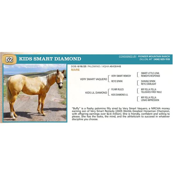 Kids Smart Diamond