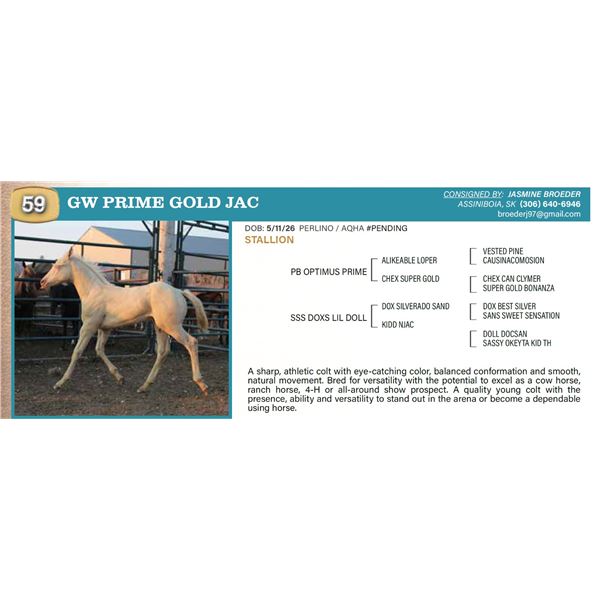 GW PRIME GOLD JAC