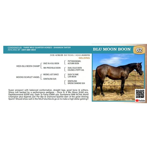 Blu Moon Boon