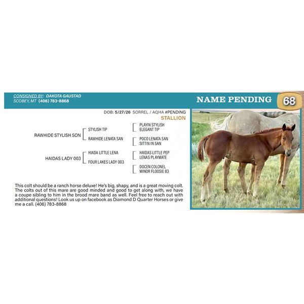 Name Pending- Sorrel Colt