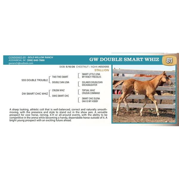GW DOUBLE SMART WHIZ