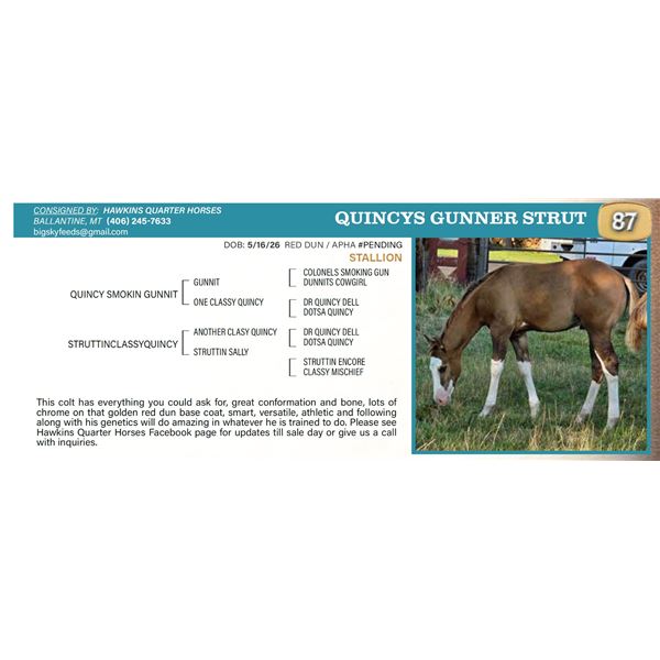 QUINCYS GUNNER STRUT