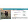 Image 1 : Dualin Blk Prl Lady "Pearl"