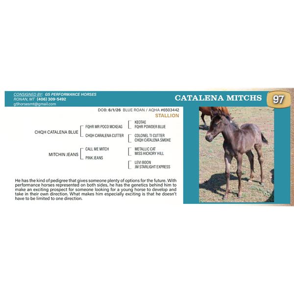 Catalena Mitchs