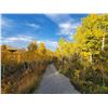 Image 2 : Glenbow Ranch Park Foundation Golf Cart Tour