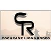 Image 1 : Lions Rodeo VIP Package