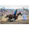 Image 3 : Lions Rodeo VIP Package