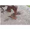 Image 6 : Int 2 furrow plow, 3pth