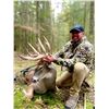 Image 1 : Michigan – 2 Days (1 Day Hunting) and 1 Night – Management Whitetail Deer Hunt for One Hunter