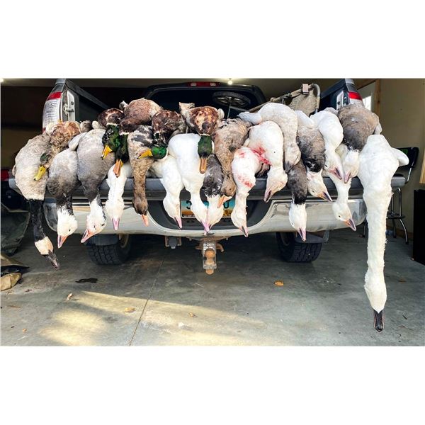 North Dakota – 4 Day -Waterfowl Hunt (including Tundra Swans – draw and $1,000 upgrade required) For