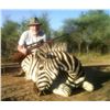 Image 1 : South Africa – 7 Day – Zebra and Blue Wildebeest Safari for Two Hunters