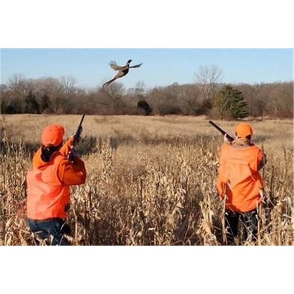 1 Day - Pheasant Hunt for Three Hunters