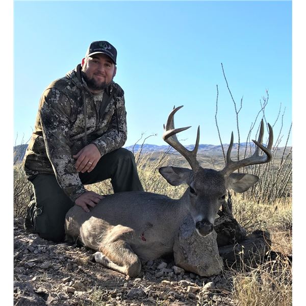 Arizona – 5 Day – Coues Deer Hunt for Two Hunters (With Free Mt. Lion Bonus)