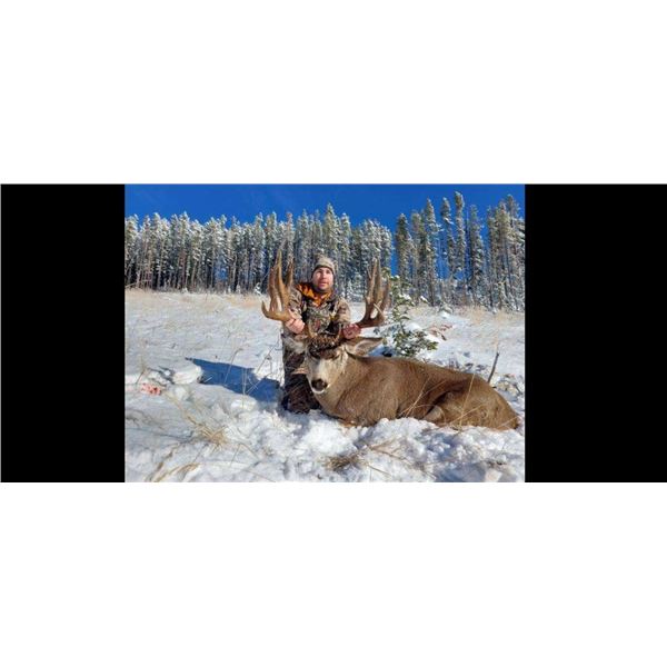 *Alberta – 6 Day – Mule Deer/Whitetail Deer Combination  Hunt for One Hunter