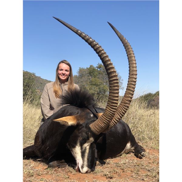 *South Africa – 7 Day – Plains Game Safari for One Sable Hunter and One Non-Hunter