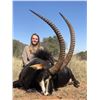 Image 1 : *South Africa – 7 Day – Plains Game Safari for One Sable Hunter and One Non-Hunter