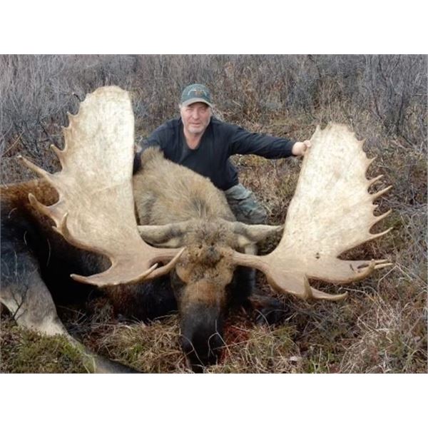 British Columbia – 10 Day – Canadian Moose Hunt for One Hunter