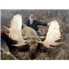 Image 1 : British Columbia – 10 Day – Canadian Moose Hunt for One Hunter