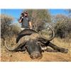 Image 1 : South Africa -  7 Days – Cape Buffalo Hunt for One Hunter