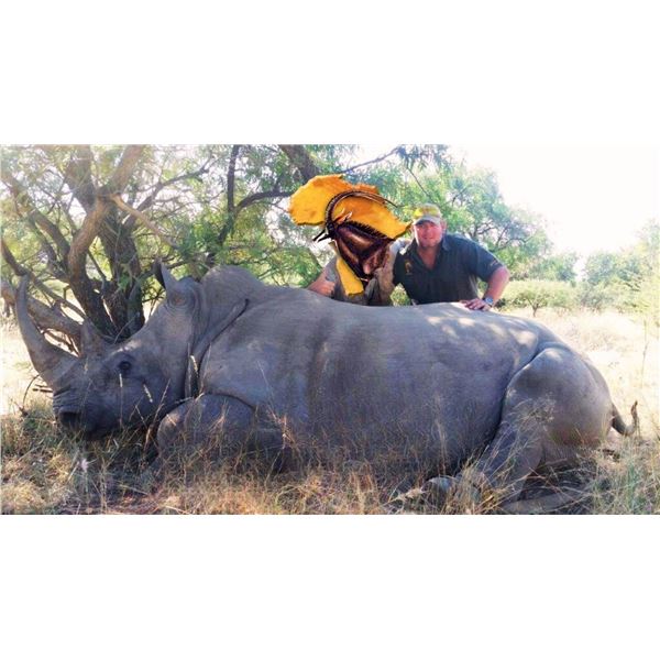 *South Africa – 7 Day – White Rhino (Dart Hunt) for One Hunter