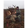 Image 1 : Newfoundland -5 Day - Woodland Caribou Hunt for One Hunter