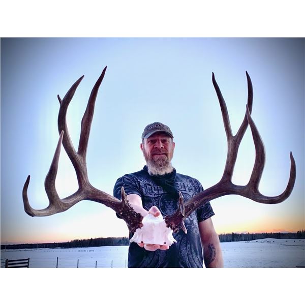 *Alberta – 6 Day – Mule Deer/ Whitetail Deer and Wolf Hunt for One Hunter