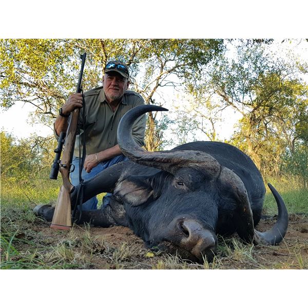 South Africa – 7 Day – Cape Buffalo Hunt for One Hunter