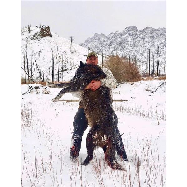 *Wyoming – 6 Day – Wolf Hunt for One Hunter