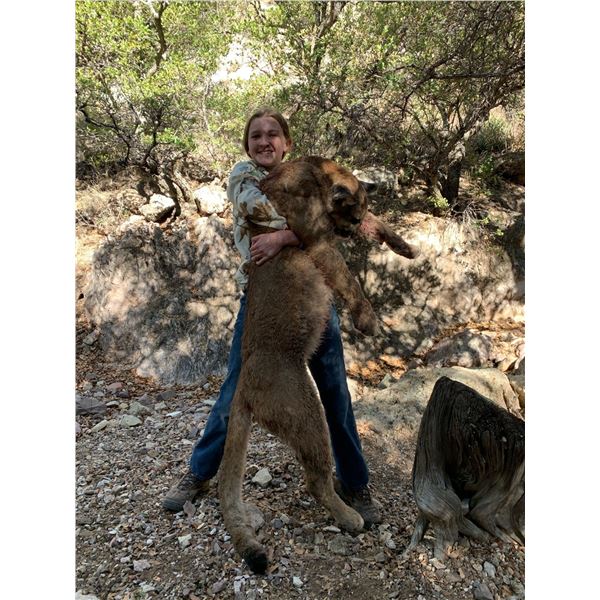 *Arizona - 5 Day Mountain Lion Hunt for One Hunter