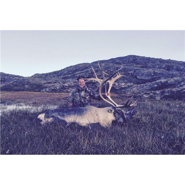 Greenland - 7 Day – Reindeer/Caribou Hunt for Two Hunters