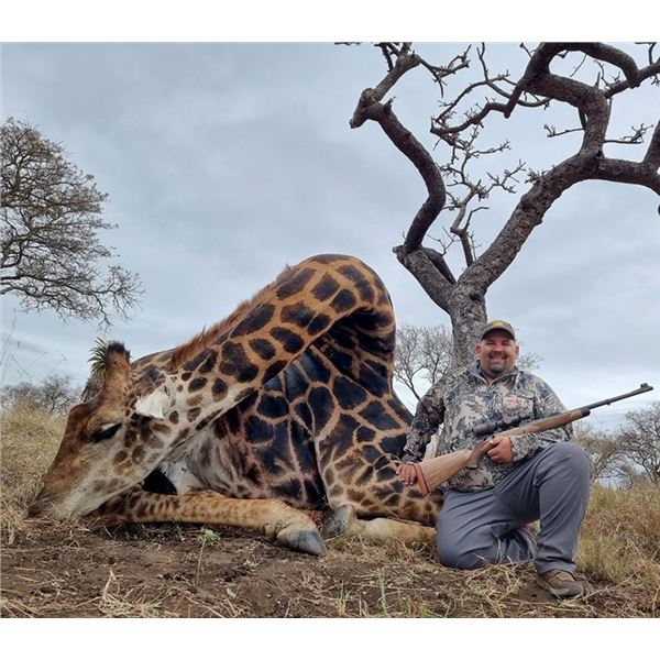 * South Africa -  7 Day – Giraffe Hunt for One Hunter