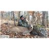 Image 1 : *Missouri – 3 ½ Days - Whitetail Deer Ranch  Hunt for One Hunter